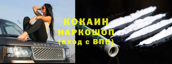 тгк Алзамай
