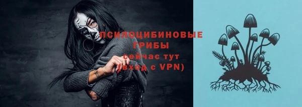 тгк Алзамай