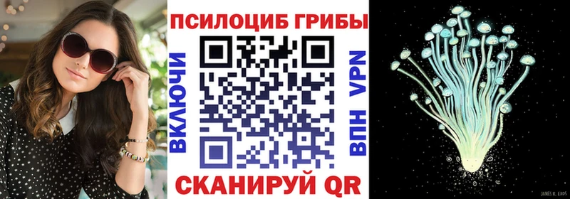 наркошоп  Алексеевка  Псилоцибиновые грибы Psilocybine cubensis 