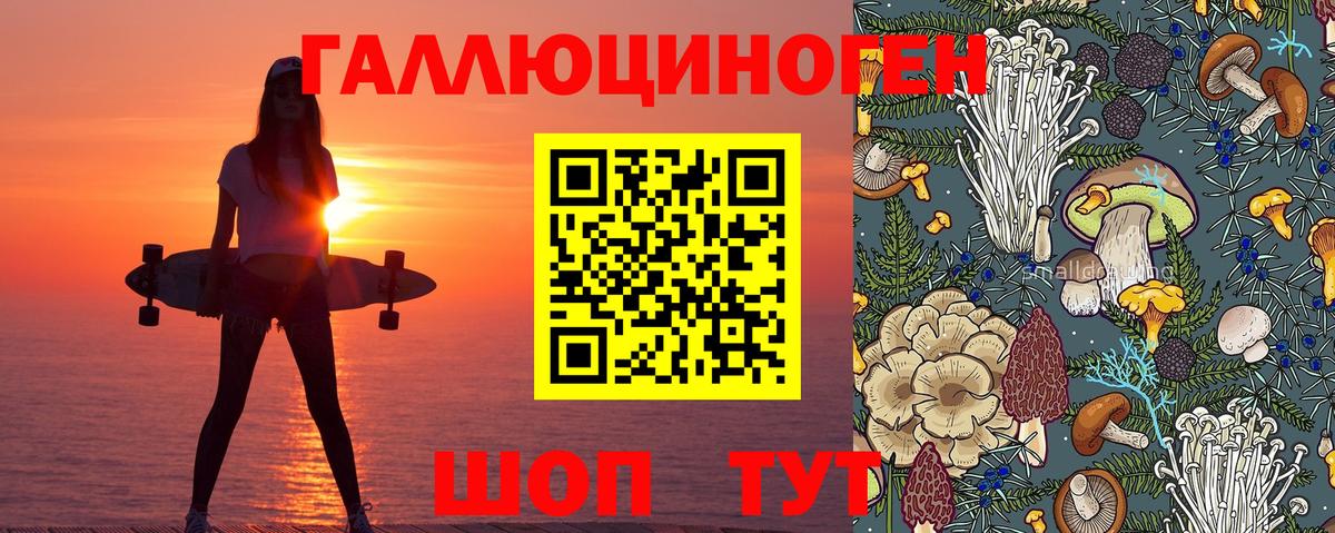 Псилоцибиновые грибы мухоморы Алексеевка