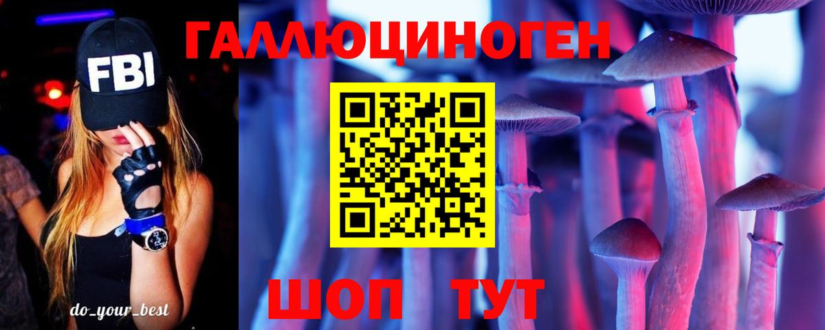 Псилоцибиновые грибы Cubensis  Вход с VPN  Алексеевка 